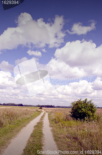 Image of Gravel road between meadows. 