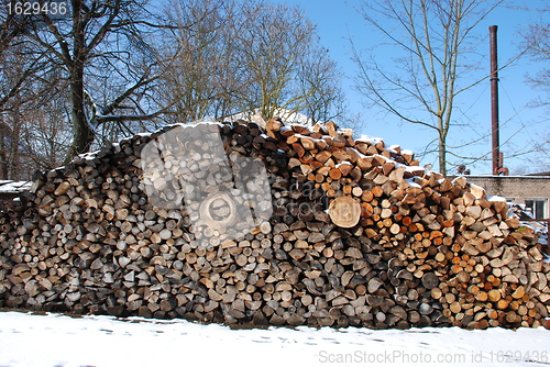 Image of Firewood pile next to boiler house. 