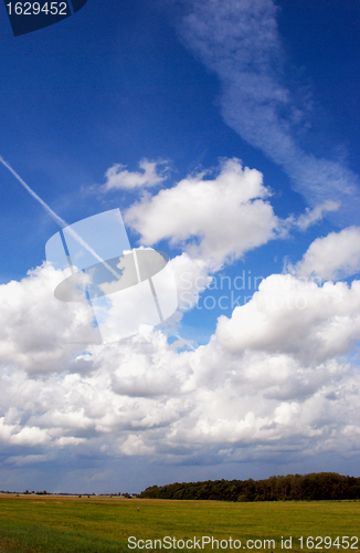 Image of Agricultural green fields and blue sky. 