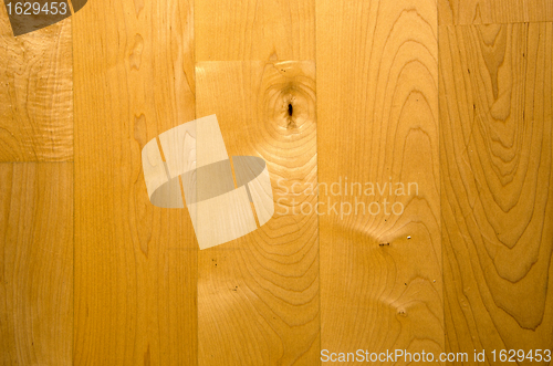 Image of Wooden floorboard fragment. Canadian maple. 