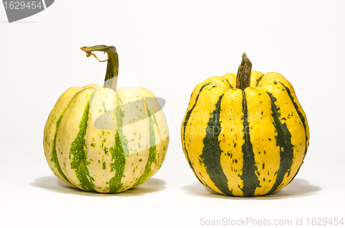 Image of Pumpkins on white background with shadow. 