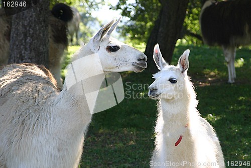 Image of mum with a daughter