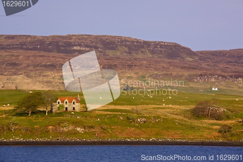 Image of Pastures on Isle of Skye