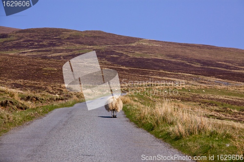 Image of Road on Isle of Skye