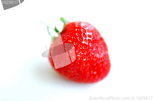 Image of Strawberry macro