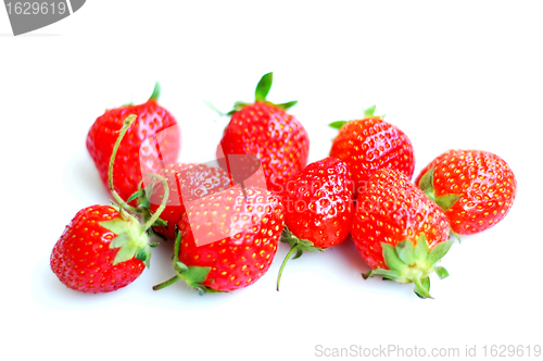 Image of Strawberry