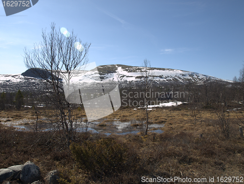 Image of Landscape sør trøndelag