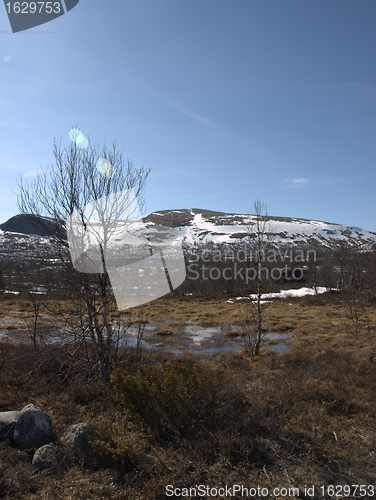 Image of Landscape sør trøndelag