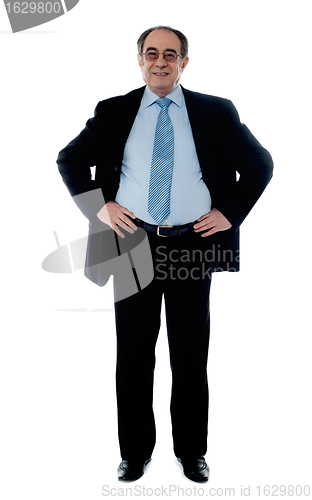 Image of Senior manager poisng with hands on his waist