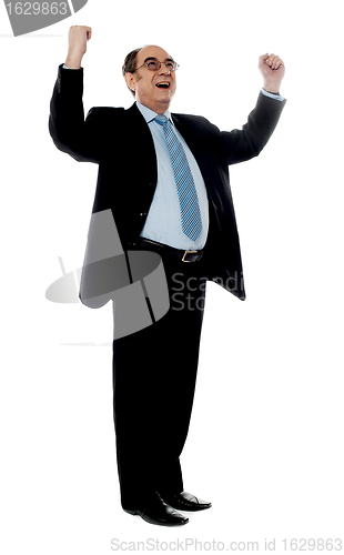 Image of Experienced corporate man sharing success