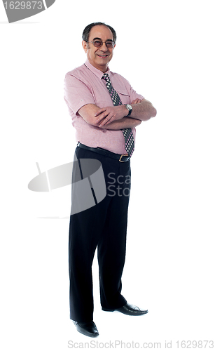 Image of Full length view of senior business executive