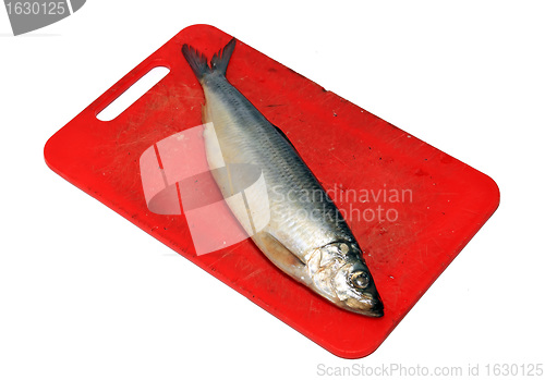 Image of salty herring on white background