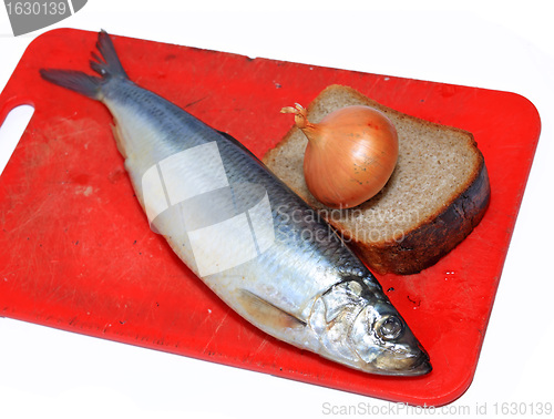 Image of salty herring on white background