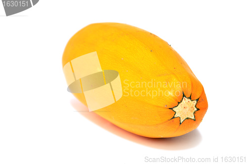 Image of yellow squash on white background