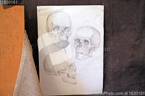 Image of skull drawing on grunge background