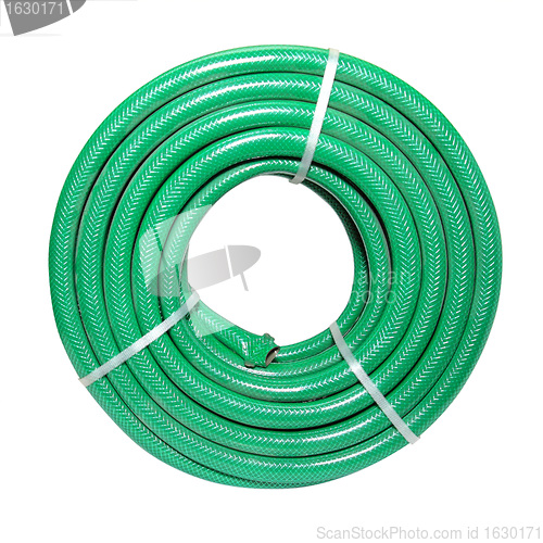 Image of green hose on white background