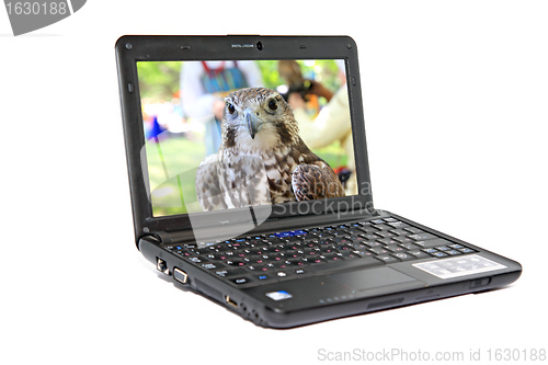 Image of modern netbook on white background