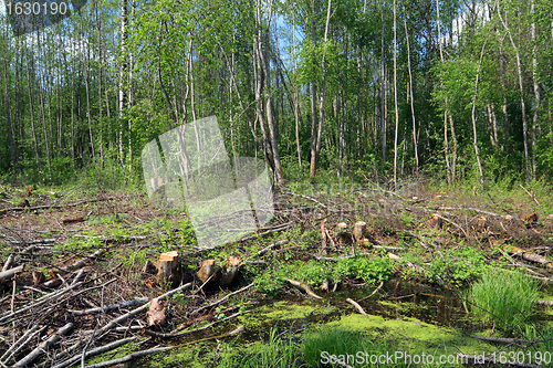 Image of chopping wood 