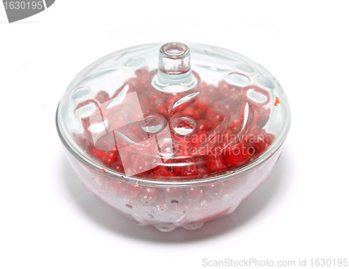 Image of cranberry in plate on white background