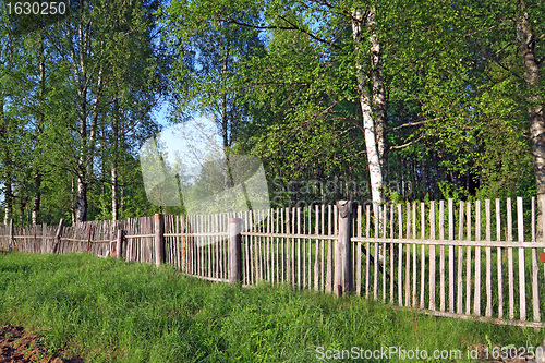 Image of old wooden fence amongst herbs 