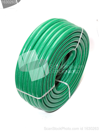 Image of green hose on white background