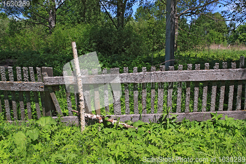 Image of old fence in green herb 