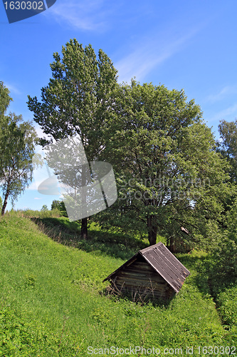 Image of wooden house in green wood