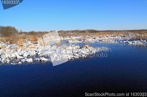 Image of autumn ice on freeze marsh