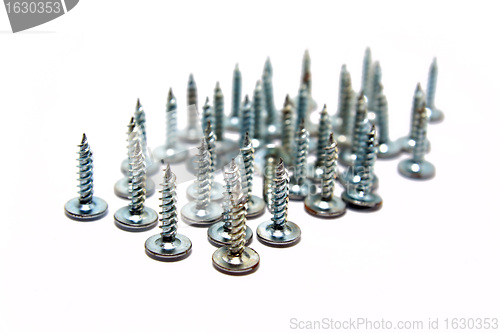 Image of steel screws on white background