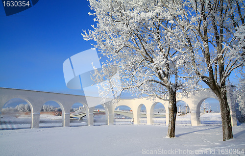 Image of snow tree near ancient wall