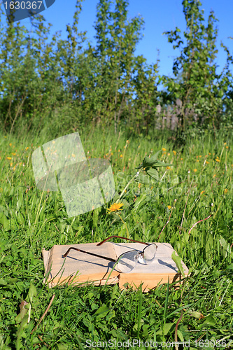 Image of openning book rests upon herb