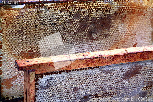 Image of honeycomb