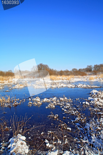 Image of autumn ice on freeze marsh