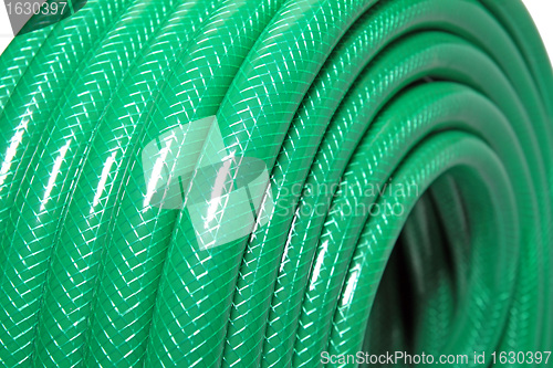 Image of green hose on white background