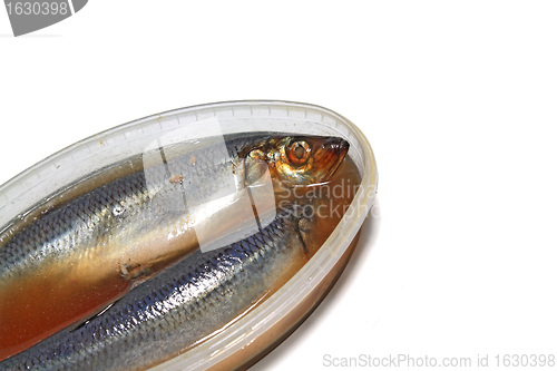Image of salty herring on white background