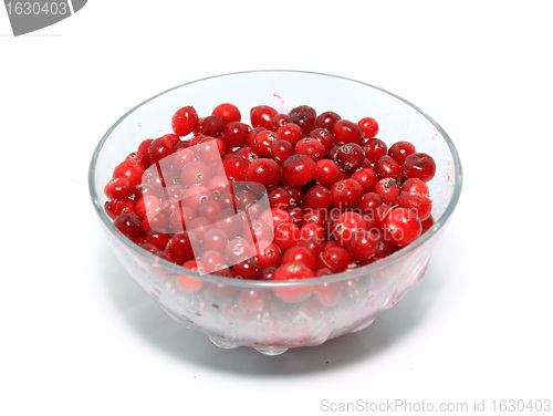 Image of cranberry in plate on white background