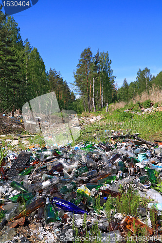 Image of garbage pit in pine wood