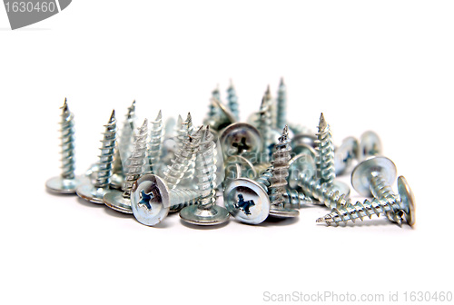 Image of steel screws on white background