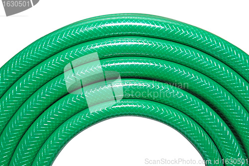 Image of green hose on white background