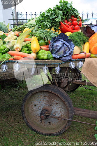 Image of set vegetables on rural market