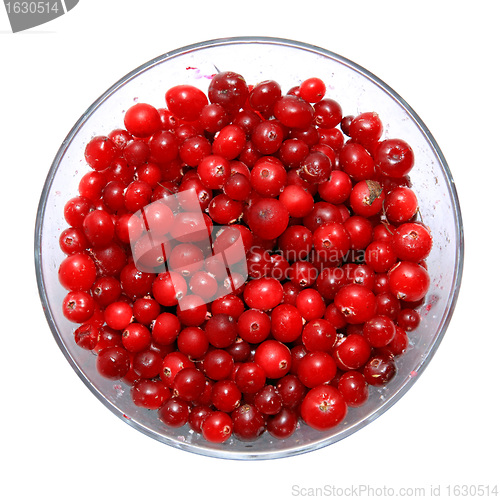 Image of cranberry in plate on white background