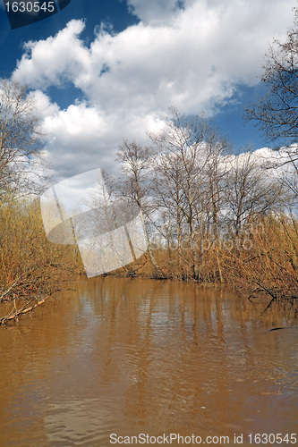 Image of white cloud on brown river