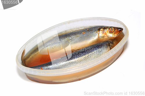 Image of salty herring on white background
