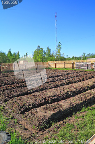 Image of rural vegetable garden