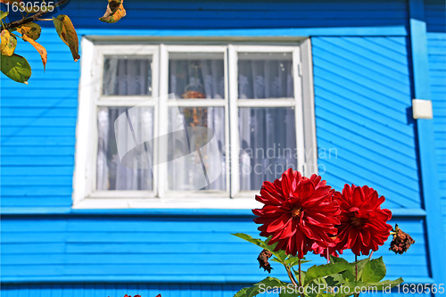Image of red flowerses against wooden rural building