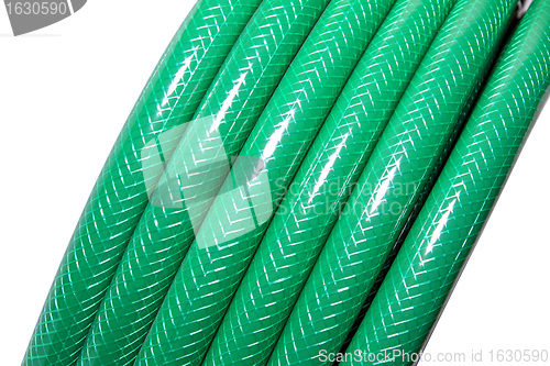 Image of green hose on white background