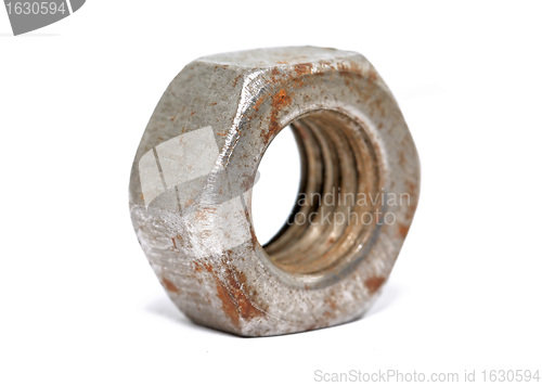 Image of aging nut on white background