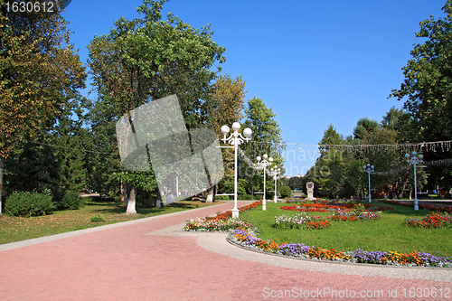 Image of town park