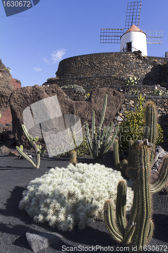 Image of Jardin de cactus
