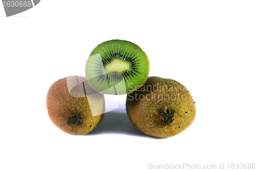 Image of Some kiwi
